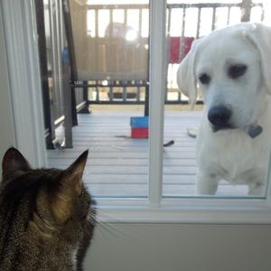 Meet your Posher, Sheila